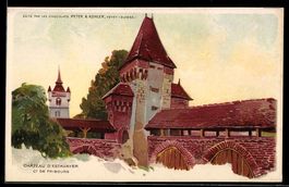 Künstler-AK Estavayer /Ct de Fribourg, Chateau d`Estavayer